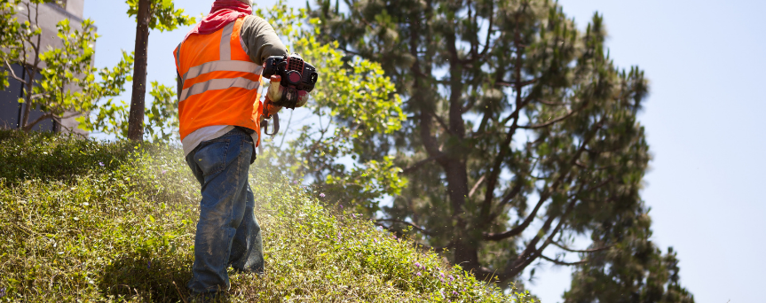 Landscaping and Horticulture Services